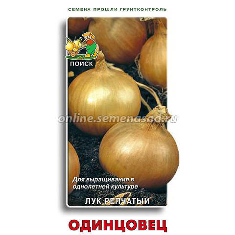 Kraken darknet ссылка