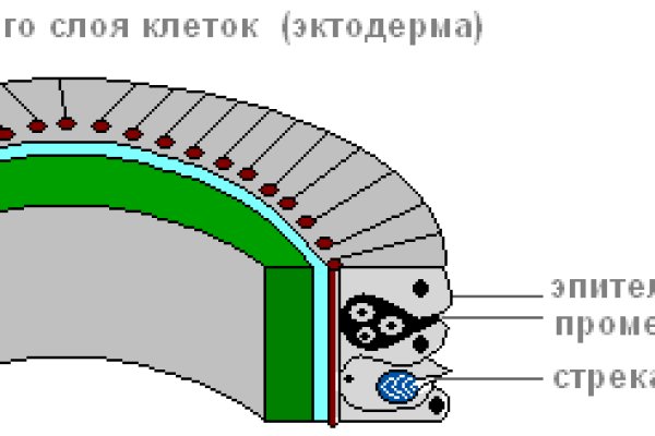 Кракен вывод средств