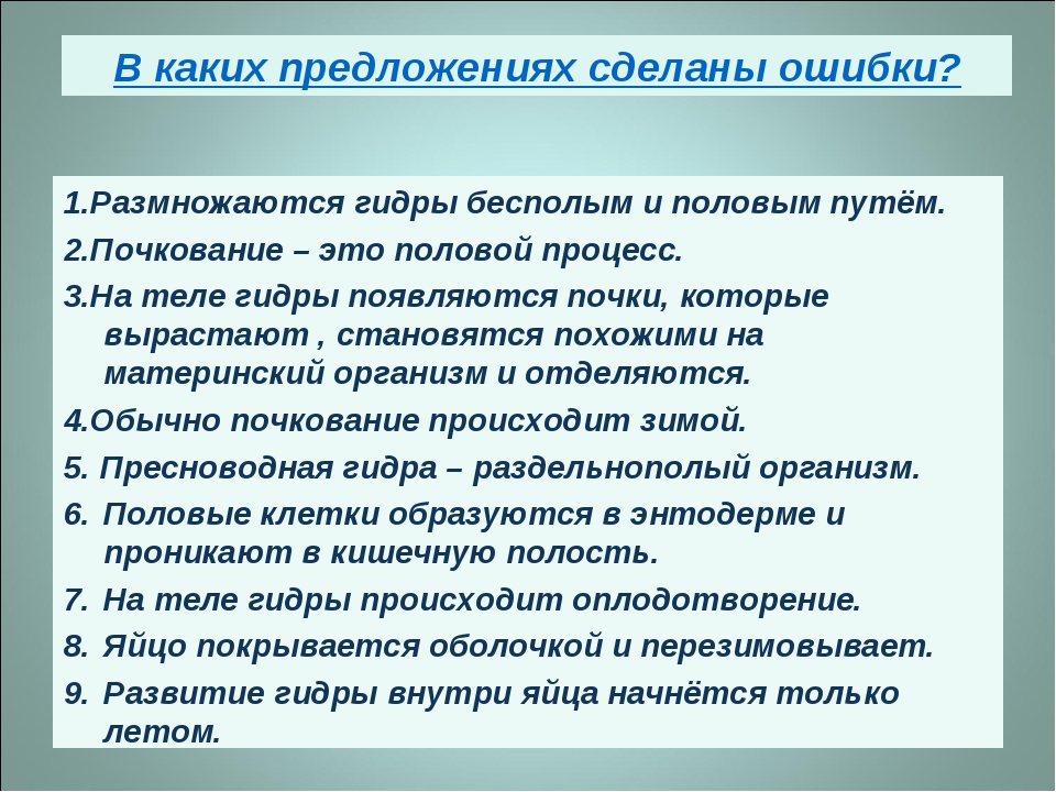 Кракен почему пользователь не найден